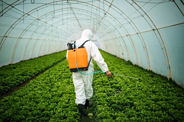 Pest Prevention Services in Sweetwater, TN