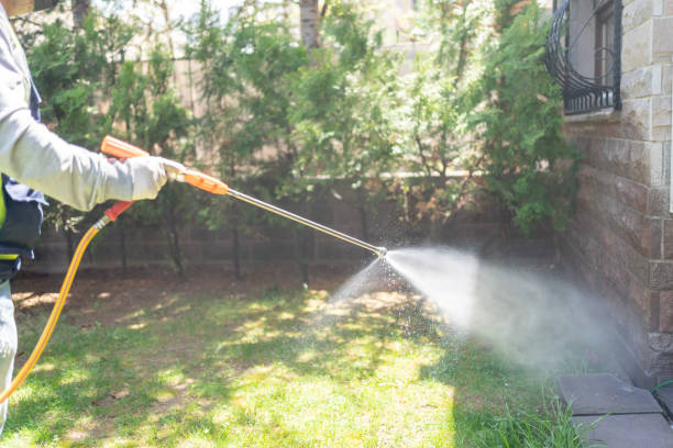 Best Flea Control Services  in Sweetwater, TN