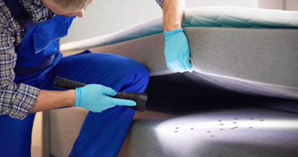 Best Emergency Pest Control  in Sweetwater, TN