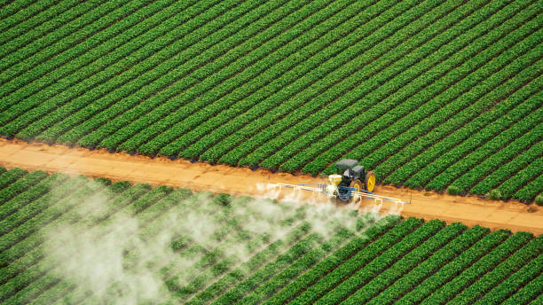 Best Ant Control Services  in Sweetwater, TN