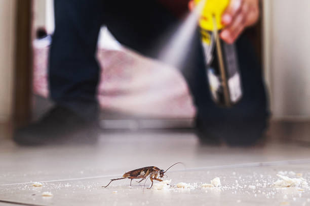 Reliable Sweetwater, TN Pest Control Solutions